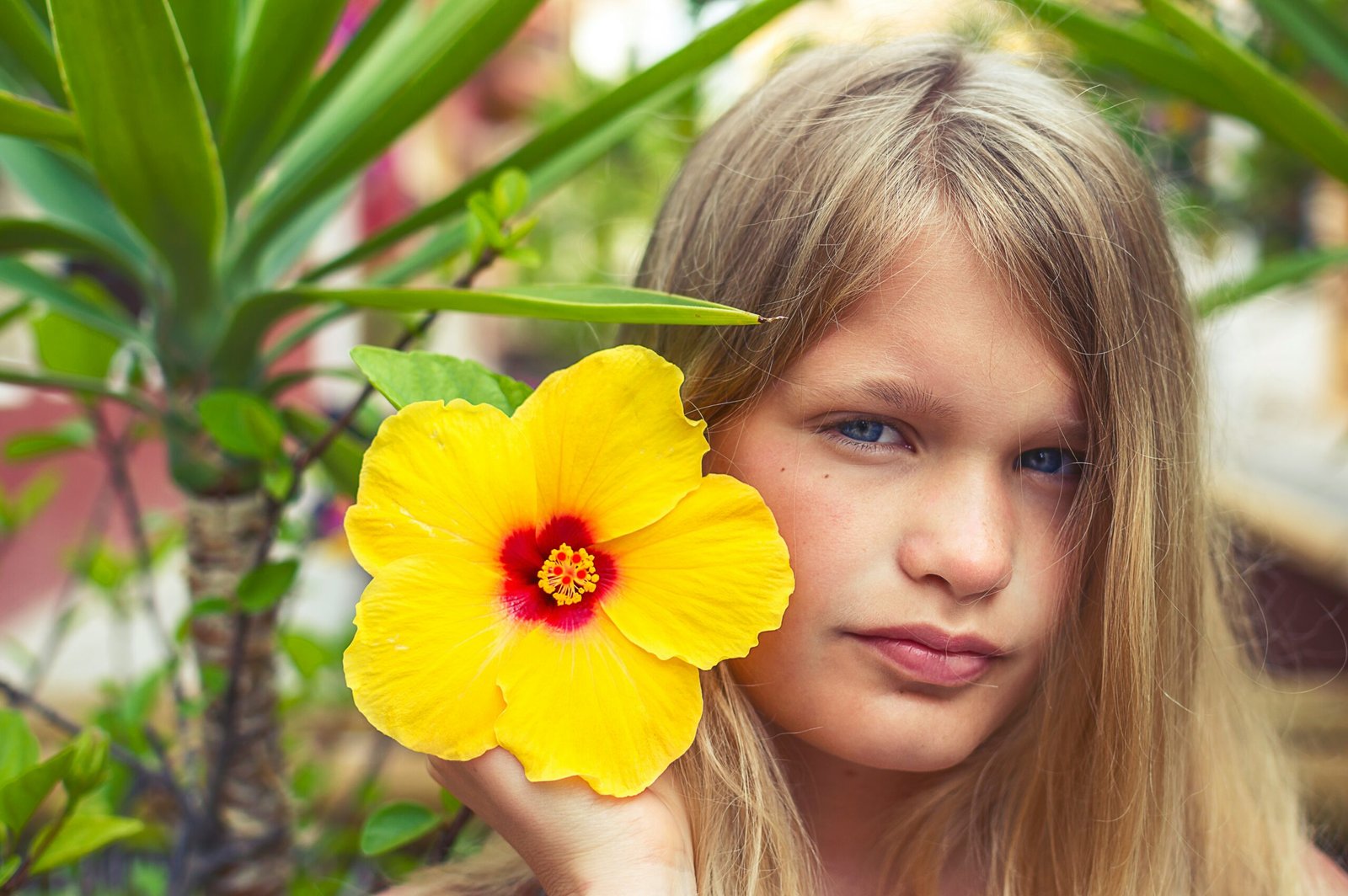 girl holding yellow flower during daytime